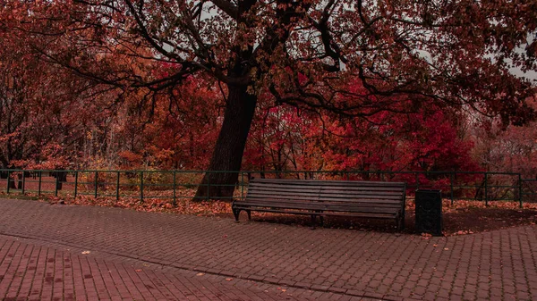 Moscow Kolomenskiy Park Magicis Views — Stock Photo, Image