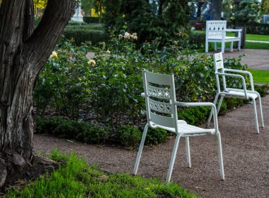 Bahçedeki sandalyeler