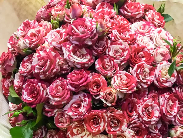 Bouquet Rose Rosse — Foto Stock
