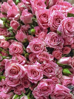 Bir buket pembe gül.