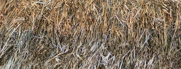 Фон Сухой Травы — стоковое фото