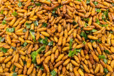 Asya kızarmış böcekler sokak gıda sayaç geleneksel Market görüntüsünü