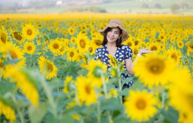 Asyalı kadın ayçiçeği alanında poz