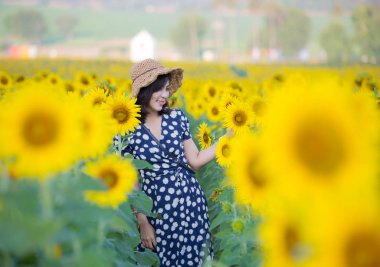 Asyalı kadın ayçiçeği alanında poz
