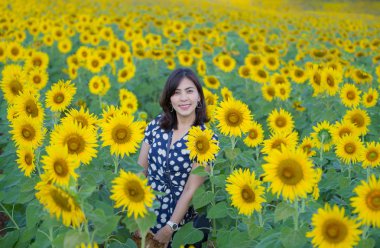 Asyalı kadın ayçiçeği alanında poz