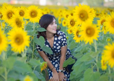 Asyalı kadın ayçiçeği alanında poz