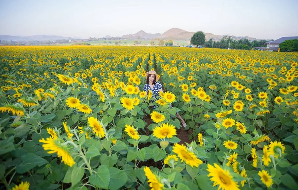 Asyalı kadın ayçiçeği alanında poz