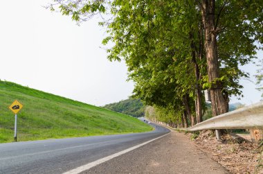 Asphalt road with green field, trees and road sign.