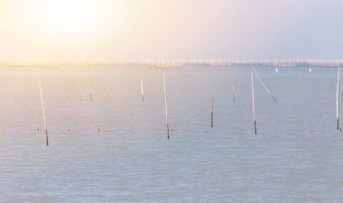 Deniz suyu bambu sopa