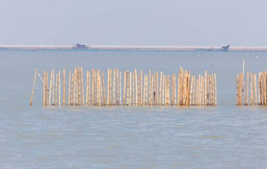 Deniz suyu bambu çit