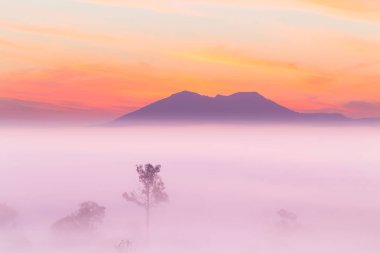 Mulk Salaeng Luang Tayland Milli Parkı, sis gündoğumu ve alacakaranlık gökyüzü üzerinde Deniz Manzaralı dağ