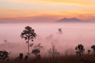 Mulk Salaeng Luang Tayland Milli Parkı, sis gündoğumu ve alacakaranlık gökyüzü üzerinde Deniz Manzaralı dağ