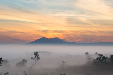 Mulk Salaeng Luang Tayland Milli Parkı, sis gündoğumu ve alacakaranlık gökyüzü üzerinde Deniz Manzaralı dağ