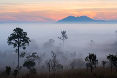 Mulk Salaeng Luang Tayland Milli Parkı, sis gündoğumu ve alacakaranlık gökyüzü üzerinde Deniz Manzaralı dağ
