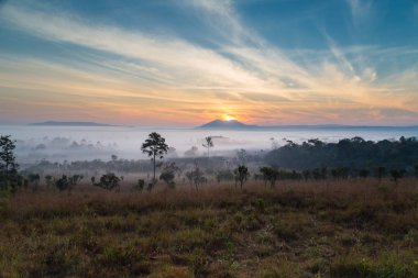 Mulk Salaeng Luang Tayland Milli Parkı, sis gündoğumu ve alacakaranlık gökyüzü üzerinde Deniz Manzaralı dağ
