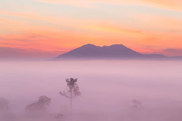 Thung Salaeng Luang National Park Thailand Mountain View Sea Fog — Stock Photo, Image