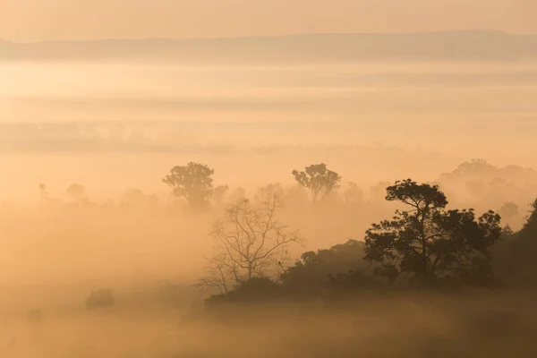 Thung Salaeng Luang National Park Thailand Mountain View Sea Fog — Stock Photo, Image