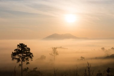 Mulk Salaeng Luang Tayland Milli Parkı, sis gündoğumu ve alacakaranlık gökyüzü üzerinde Deniz Manzaralı dağ