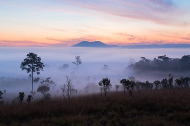 Mulk Salaeng Luang Tayland Milli Parkı, sis gündoğumu ve alacakaranlık gökyüzü üzerinde Deniz Manzaralı dağ