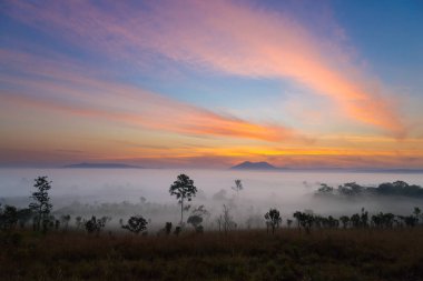 Mulk Salaeng Luang Tayland Milli Parkı, sis gündoğumu ve alacakaranlık gökyüzü üzerinde Deniz Manzaralı dağ