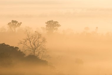 Mulk Salaeng Luang Tayland Milli Parkı, sis gündoğumu ve alacakaranlık gökyüzü üzerinde Deniz Manzaralı dağ