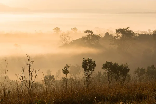 Thung Salaeng Luang 国家公园 日出和黄昏天空时 山景与雾海 — 图库照片