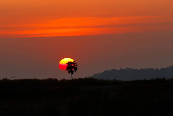Palm Tree Mountain Landscape View Sunrise Twilight Sky Background — Stock Photo, Image