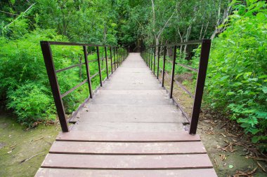 Ahşap merdiven yokuş aşağı derin ormana