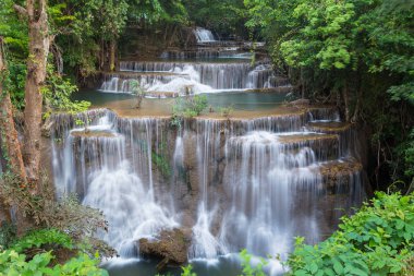 Yeşil orman, mavi su ve güneş ışınları ile doğa derin orman şelale