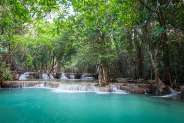 Yeşil orman, mavi su ve güneş ışınları ile doğa derin orman şelale