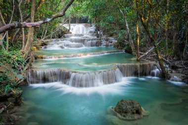 Yeşil orman, mavi su ve güneş ışınları ile doğa derin orman şelale