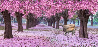pembe trompet ağaçlar çiçek ile sokakta otlatma geyik 