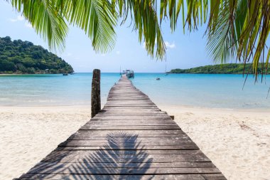 Mavi gökyüzü ve yeşil deniz ile tropikal denizde Palmiye yaprağı.