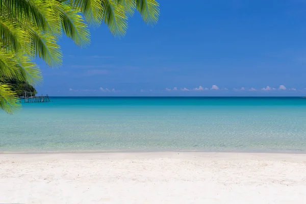 Tropical Sea Sunny Day — Stock Photo, Image