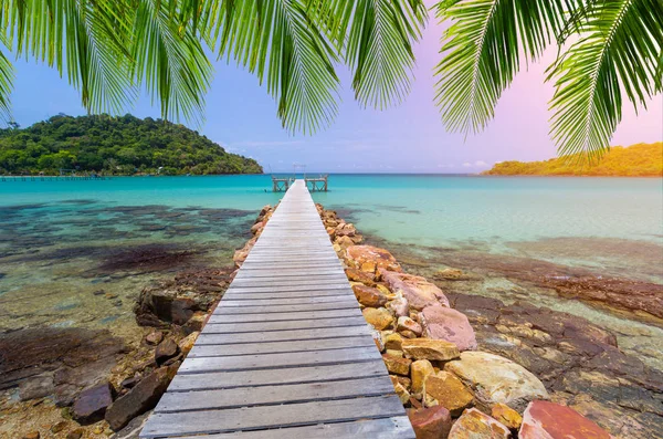 Beautiful Wooden Walkway Stone Beach Have Coconut Leaf Upper Tropical — Stock Photo, Image