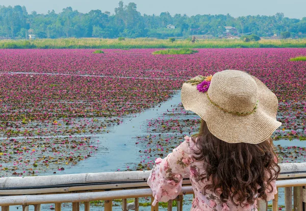 Turistka Její Sombrero Vidět Krásné Červené Lotos Květ Krajiny Pohled — Stock fotografie