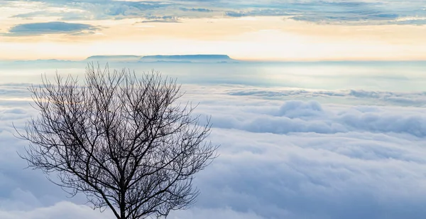 山顶上的雾海 — 图库照片