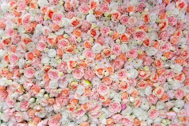 Yukarıdan aşağıya arkaplan için gül çerçevesi.