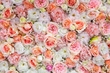 Yukarıdan aşağıya arkaplan için gül çerçevesi.