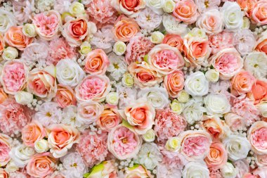 Yukarıdan aşağıya arkaplan için gül çerçevesi.