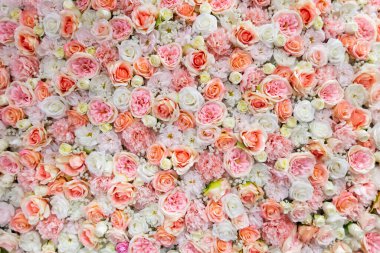 Yukarıdan aşağıya arkaplan için gül çerçevesi.