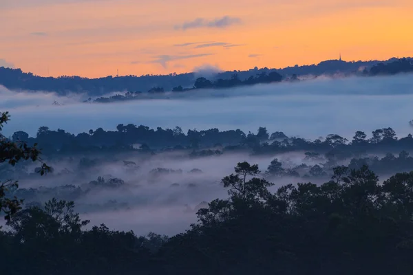Bosque Siluetas Campo Hierba Con Niebla Que Fluye Mañana Tienen — Foto de Stock