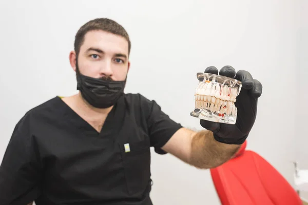 Dental clinic. Reception, examination of the patient. Teeth care. Young male dentist with jaw mockup