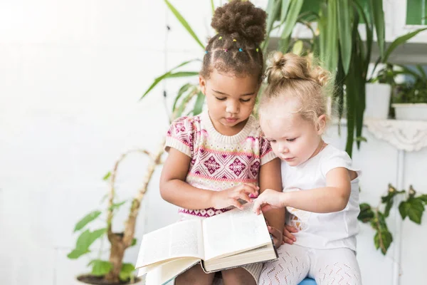Dos niñas leen un libro sobre el fondo de las plantas en macetas — Foto de Stock