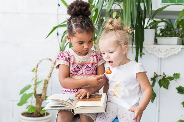 Dua gadis kecil membaca buku tentang latar belakang tanaman dalam pot — Stok Foto