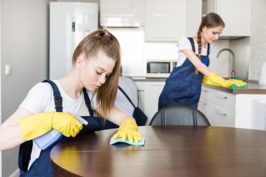 İş sırasında profesyonel ekipmanlarla temizlik hizmeti. Profesyonel mutfak temizliği, kanepe kuru temizleme, pencere ve yer silme. Erkek ve kadın üniformalı, tulumlu ve lastik eldivenli.