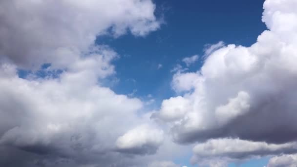 在蓝天的映衬下,飘飘的雨云的戏剧性的时间消逝了.接近雷暴的大气录像 — 图库视频影像
