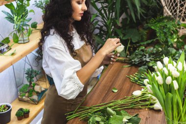 Çekici genç bayan çiçekçi bir çiçekçide çalışıyor..