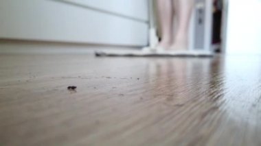 Kapalı bir paspas ile kaplama temizleme ve yıkama