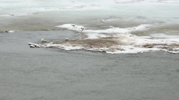 Tekoucí voda na ledovém pozadí. Spring river — Stock video